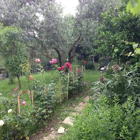 Mamin Apartma *
