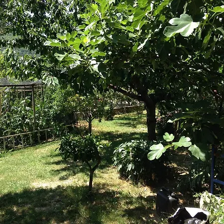 Lejlighed Mamin Apartma Marezige