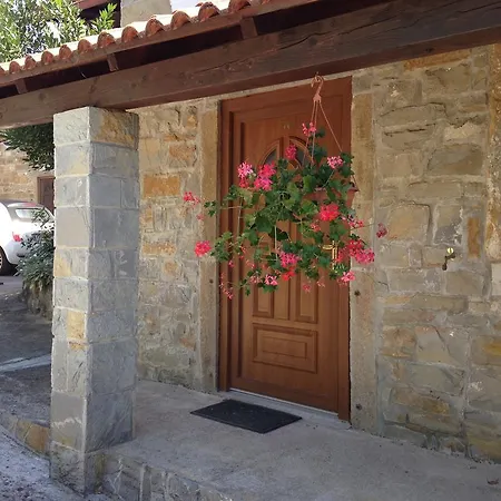 Mamin Apartma Marezige