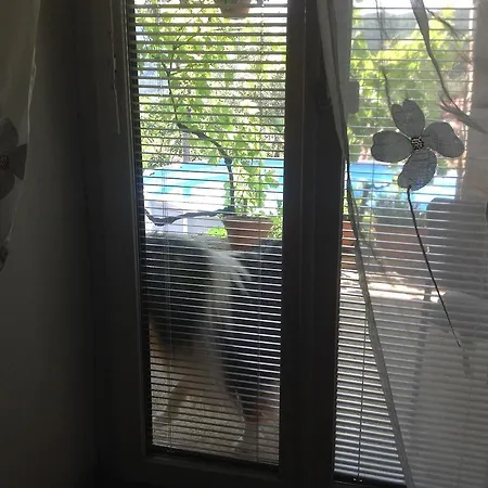 Mamin Apartma Marezige