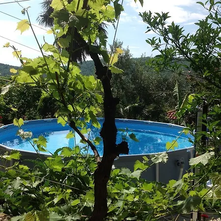 Mamin Apartma Lejlighed Marezige